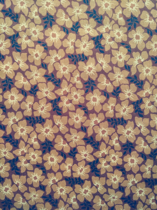 Thimbleberries Border Blast 90012 — foto 1