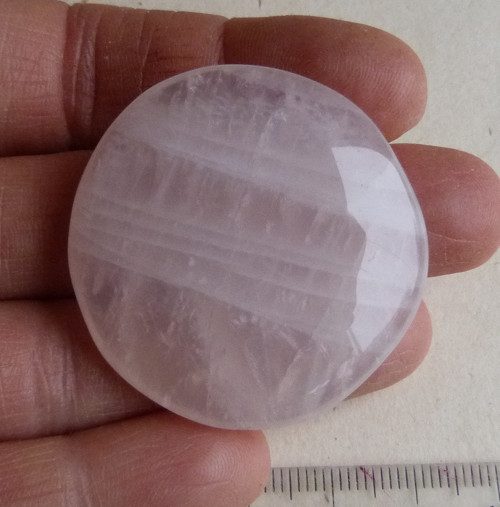 Růženín - 3,9 cm