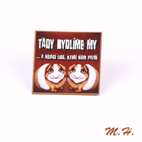 Tady bydlíme my... - magnetka - morčata