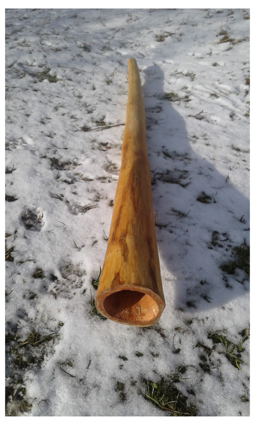 Didgeridoo - bukuluku 2019 — foto 1