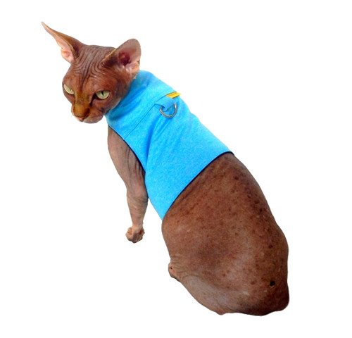 Kšíry pro sphynx