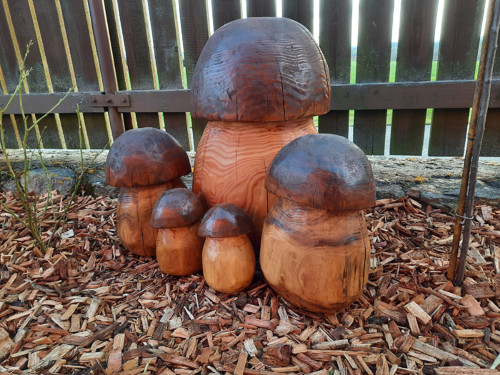 Hříbek — foto 1