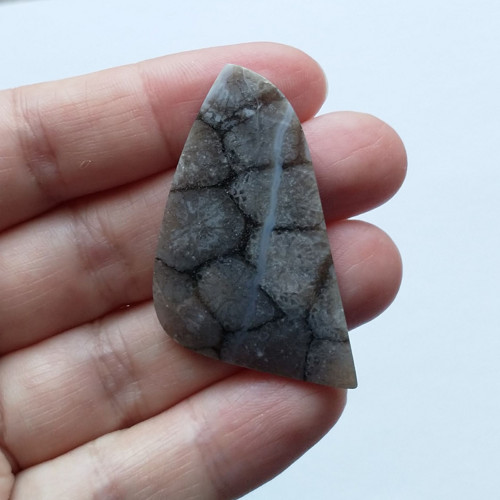 Korál fosilní 46 kabošon 45 x 24 x 5 mm