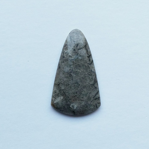 Korál fosilní 55 kabošon 48 x 28 x 5 mm