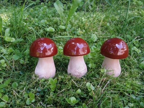 Hříbek klasik