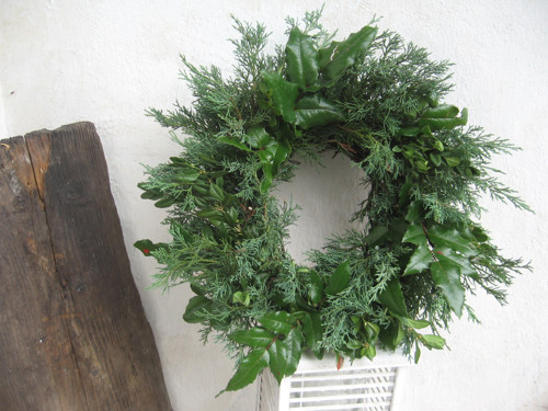 Jalovec, buxus, mahon.....