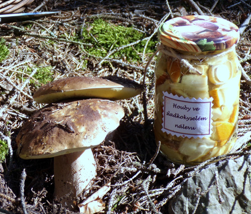Hřib smrkový v octě, 260 gramů — foto 1