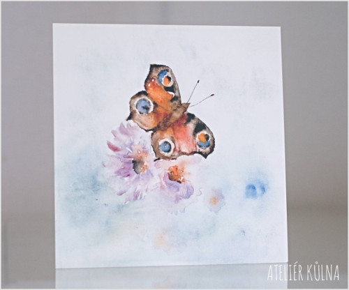 *Motýlí mlsání* (tisk 21x21 cm)