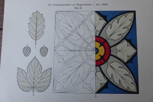 Flora, kresba na školách - starý tisk