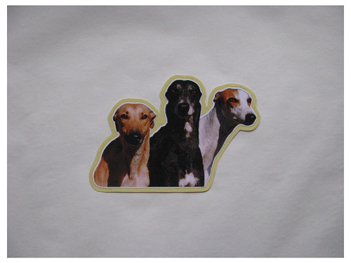 Samolepka s greyhoundem — foto 1