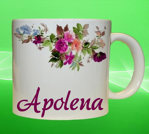Hrnek se jménem APOLENA — foto 1