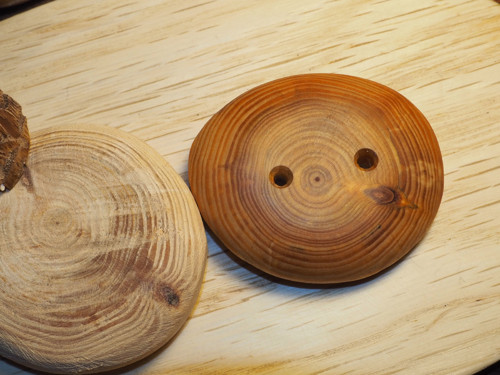Knoflík milenec modřínový — foto 1
