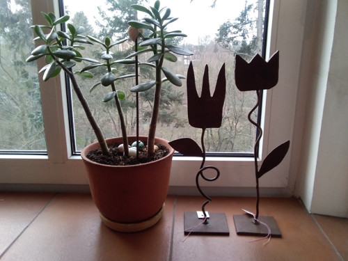 Plechové tulipány — foto 1