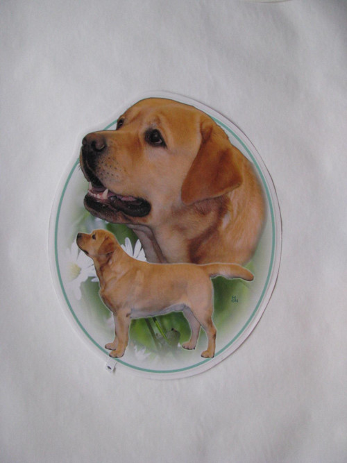 Samolepka s labradorem