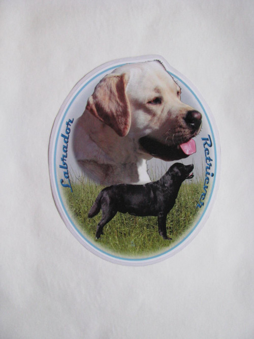 Samolepka s labradorem