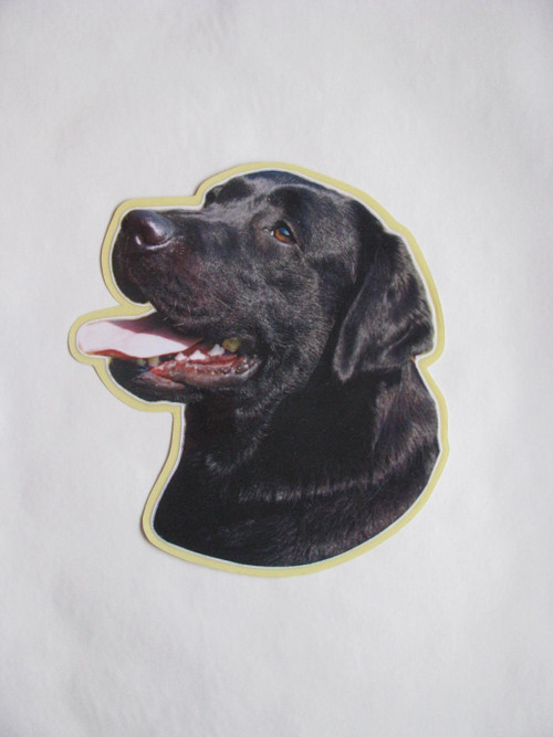 Samolepka s labradorem