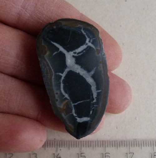 Septárie - 4,3 cm