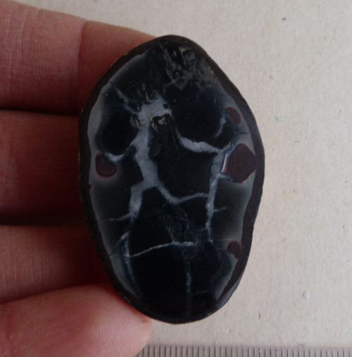 Septárie - 4,5 cm