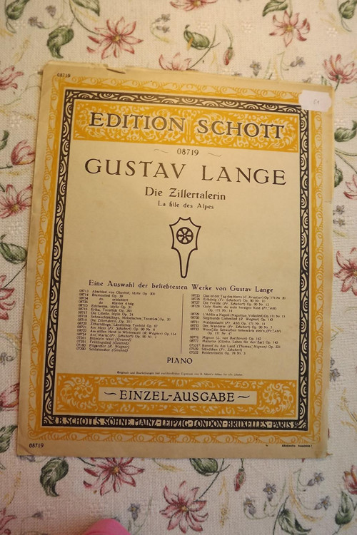 Die Zillertalerin - Gustav Lange