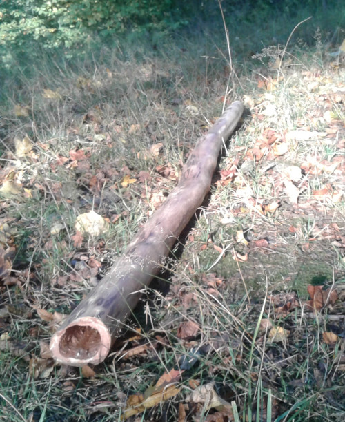Didgeridoo - habr — foto 1