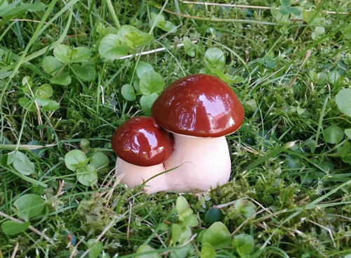 Velký s mládětem