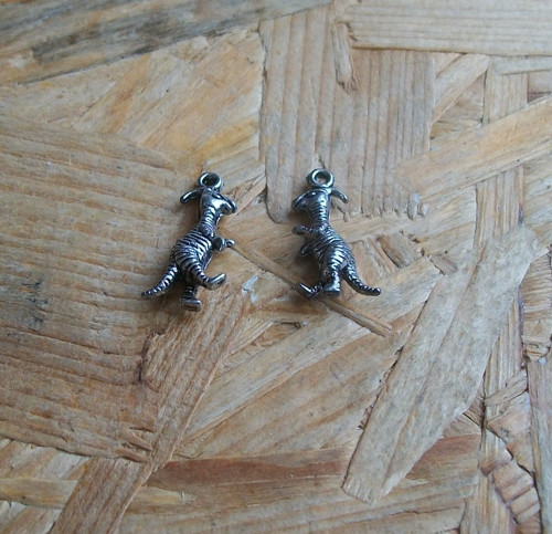 Malý Dinosaurus — foto 1