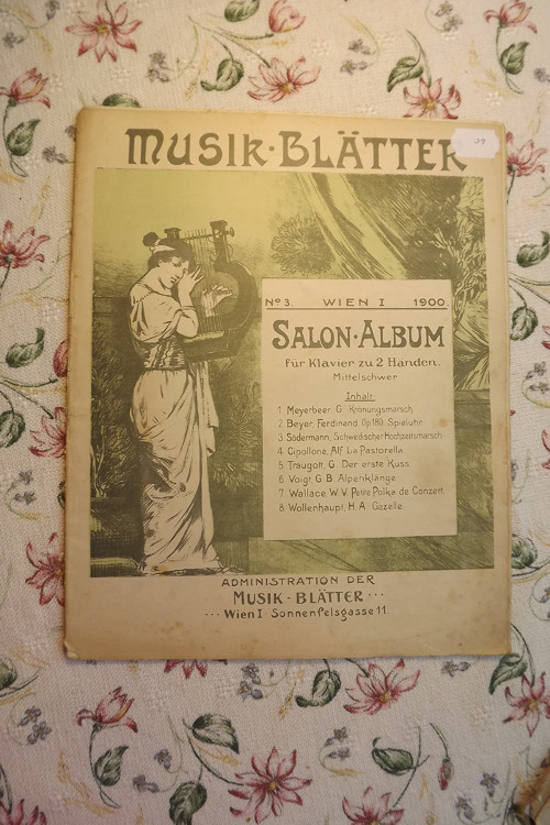 Musik - Bl'atter Salon - Album