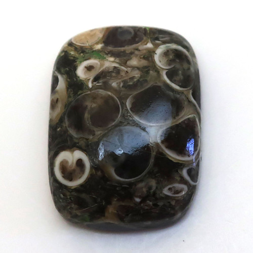 Kabošon turritella obdelník 19mm — foto 1