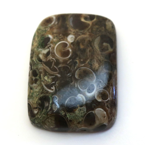 Kabošon turritella obdelník 28mm