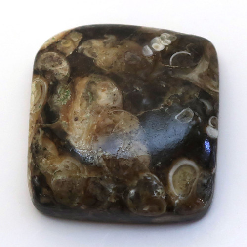 Kabošon turritella obdelník 22mm