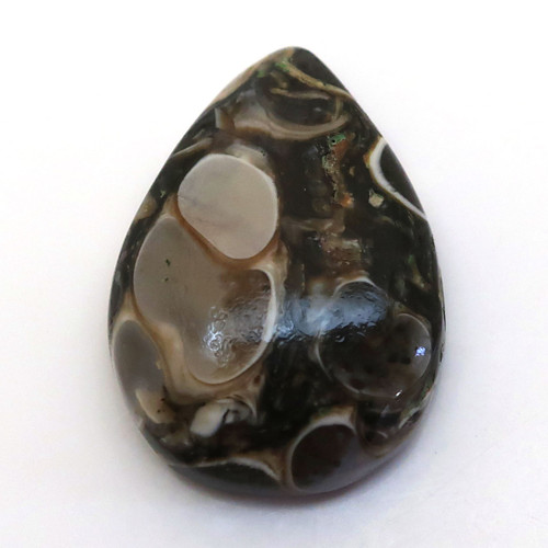 Kabošon turritella kapka 22mm — foto 1