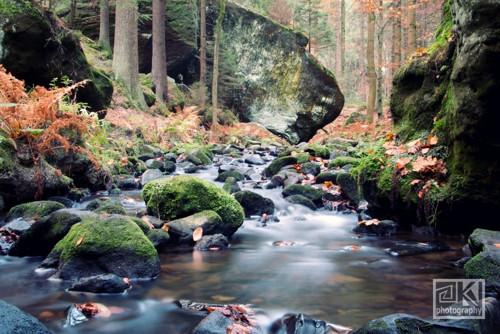 419. Podzimní krajina - autorská fotografie