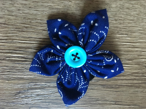Latkova modra broz