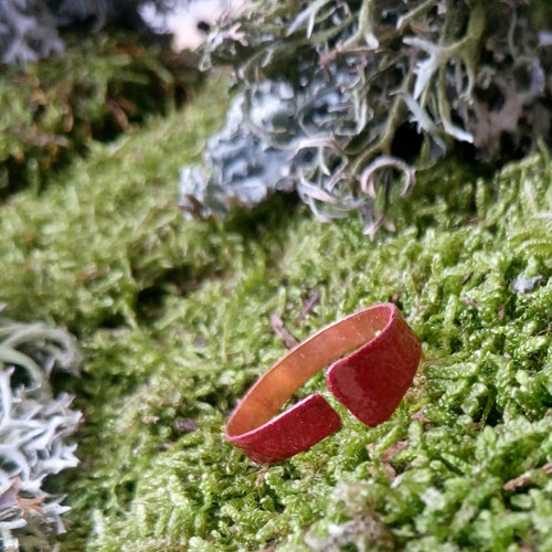Ring... — foto 1