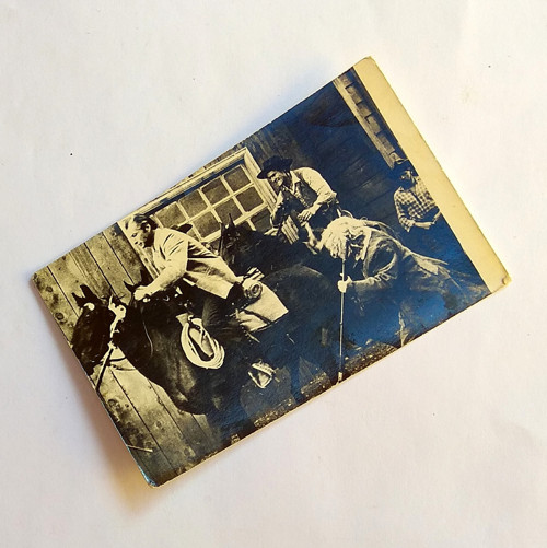 FOTOGRAFIE Vinnetou — foto 1
