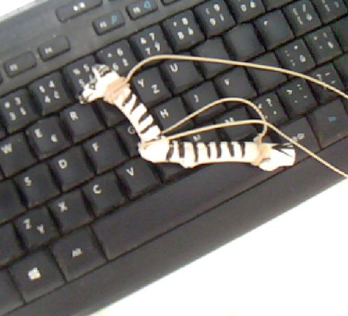 Přívěsek ZEBRA