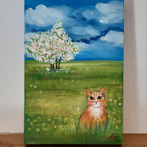 Kočička na voňavé louce — foto 1