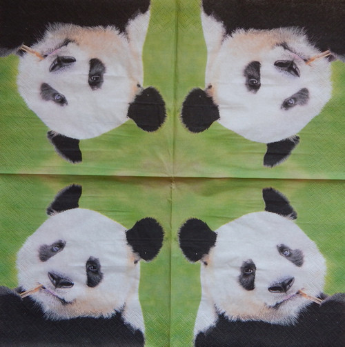 Obrovská Panda 2751 — foto 1