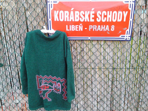 Kočka indiánská na Korábských schodech.... — foto 1