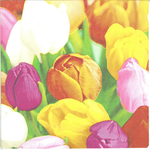 Ubrousek - tulipány