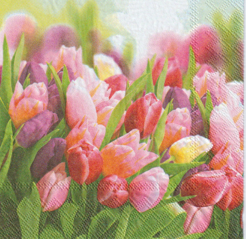 Ubrousek - barevné tulipány