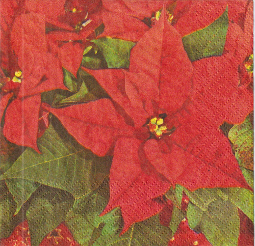 Ubrousek - vánoční hnězda