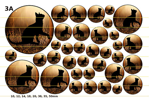 3A - kočky (10, 12, 14, 18, 20, 30, 35, 50mm)