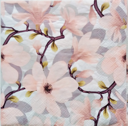 Magnolie 2