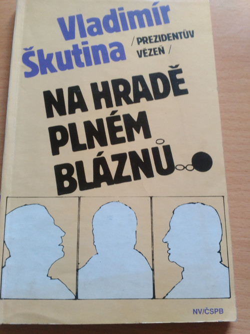 Kniha, Vladimír Škutina - Na hradě plném bláznů