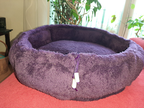 Fialový pelech — foto 1