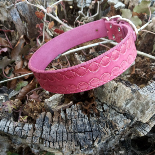 Kožený obojek 30 mm mušle bordó