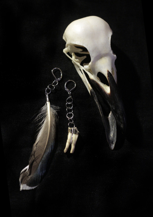 Zub a pírko vol.2
