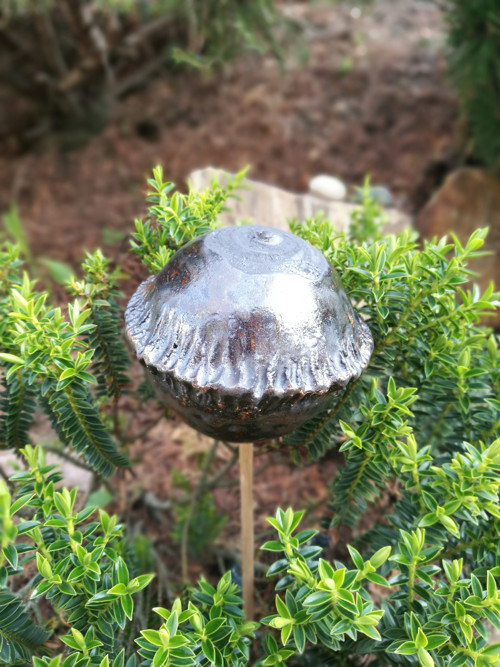 Koule zápich — foto 1