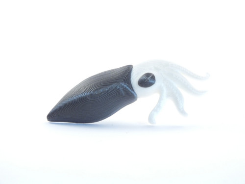 Sépie pearl black/pearl white